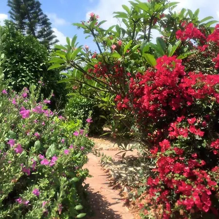 Ground Floor Leading To Pool Eg5, 2 Bedrooms, Free Wifi דירה פאפוס